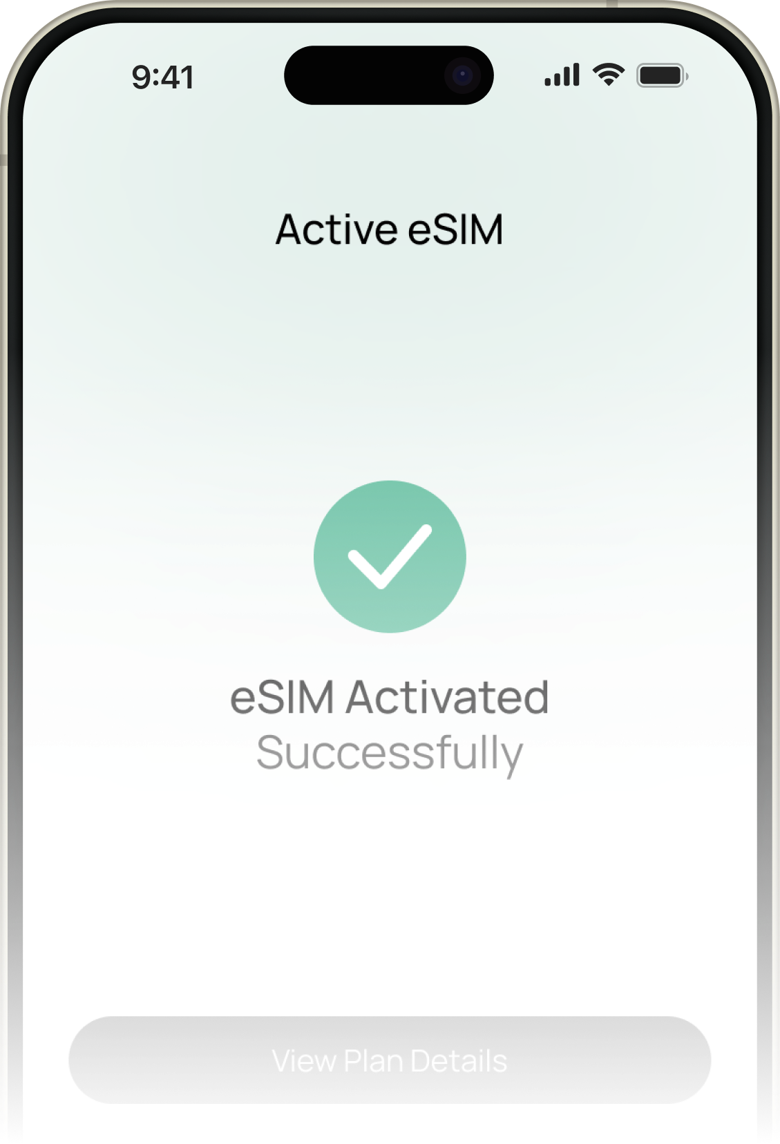 Phone showing a successful eSIM activation